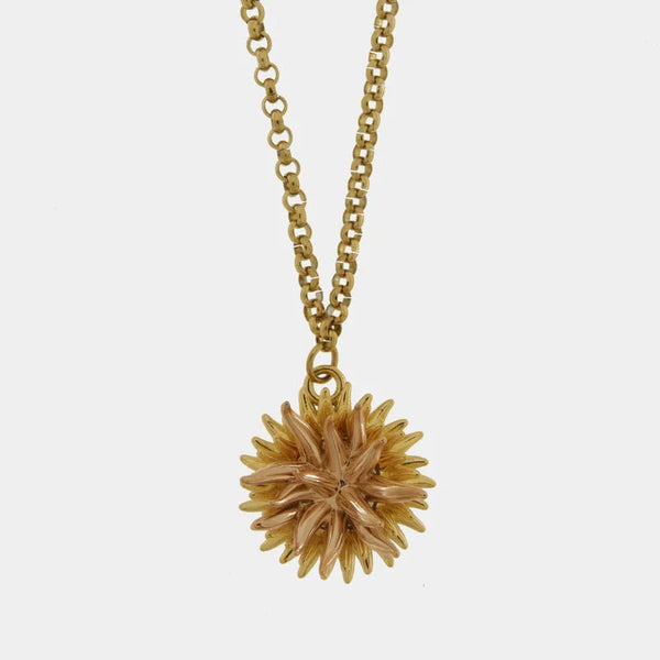 Collana in Metallo con riccio di mare — collezione erisos